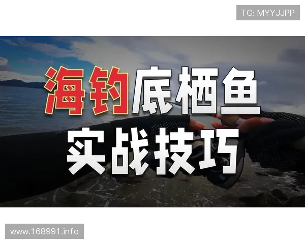 钓鱼频道在线直播：高手实战技巧与装备全解析